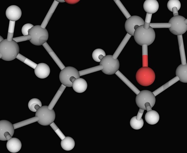 The Renin-Angiotensin-Aldosterone System — RAAS